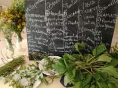 Aperçu 4 de Stage ados 2017
